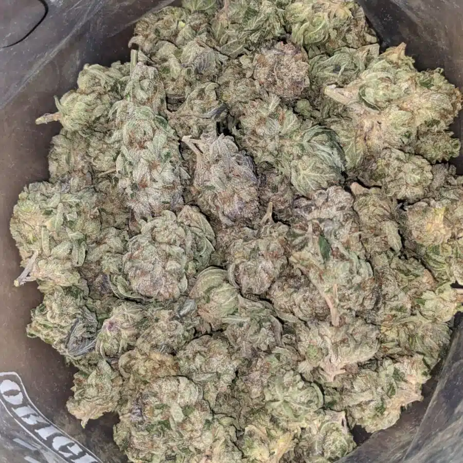 Trainwreck 2 1 I Trainwreck