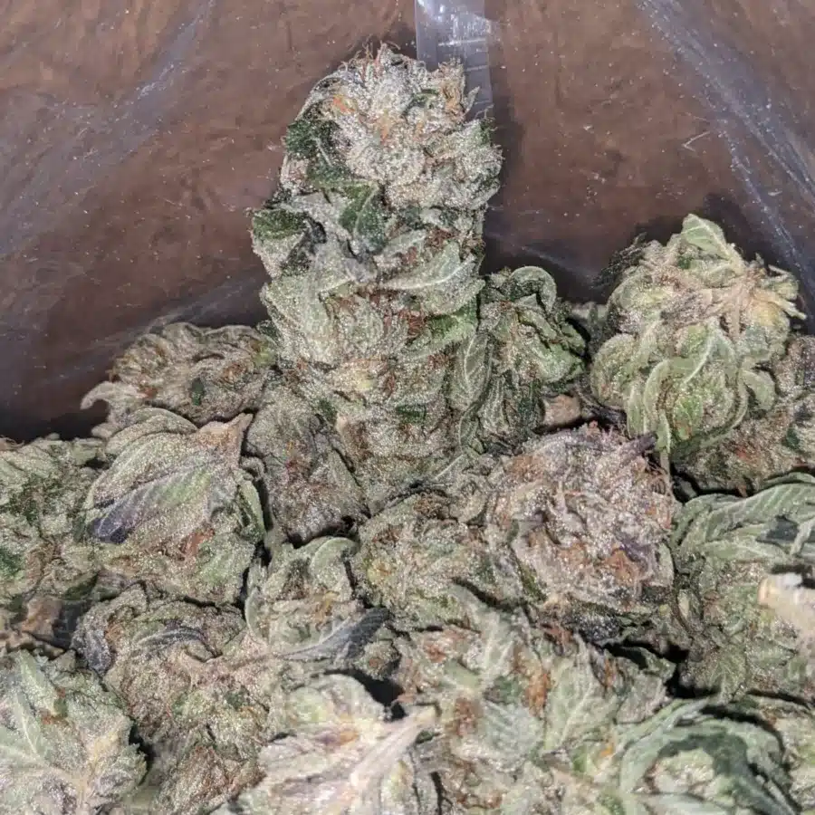 Trainwreck 3 1 I Trainwreck