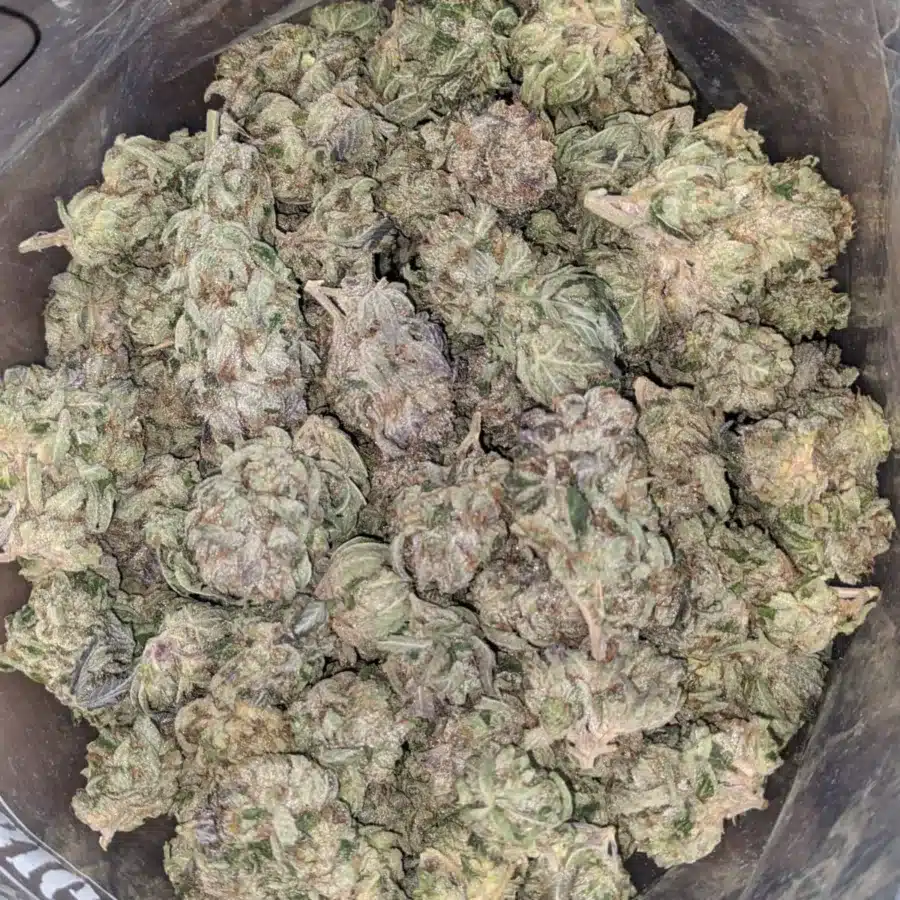 Trainwreck 4 I Trainwreck