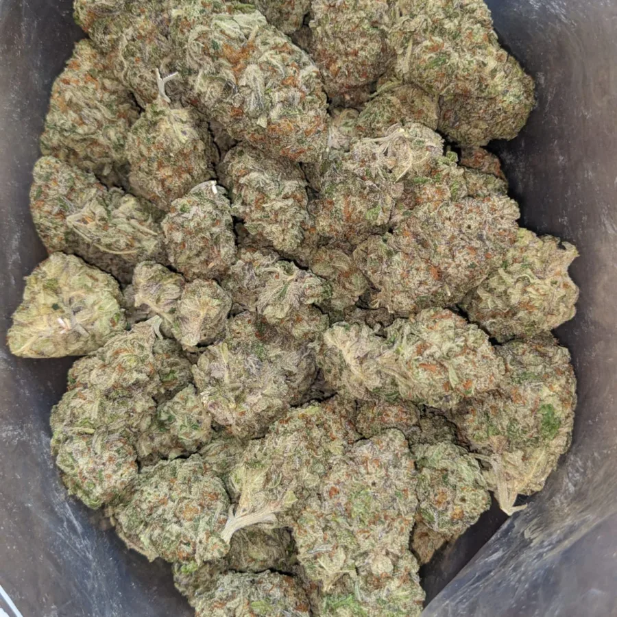 Vanilla Stink 2 I Vanilla Stink