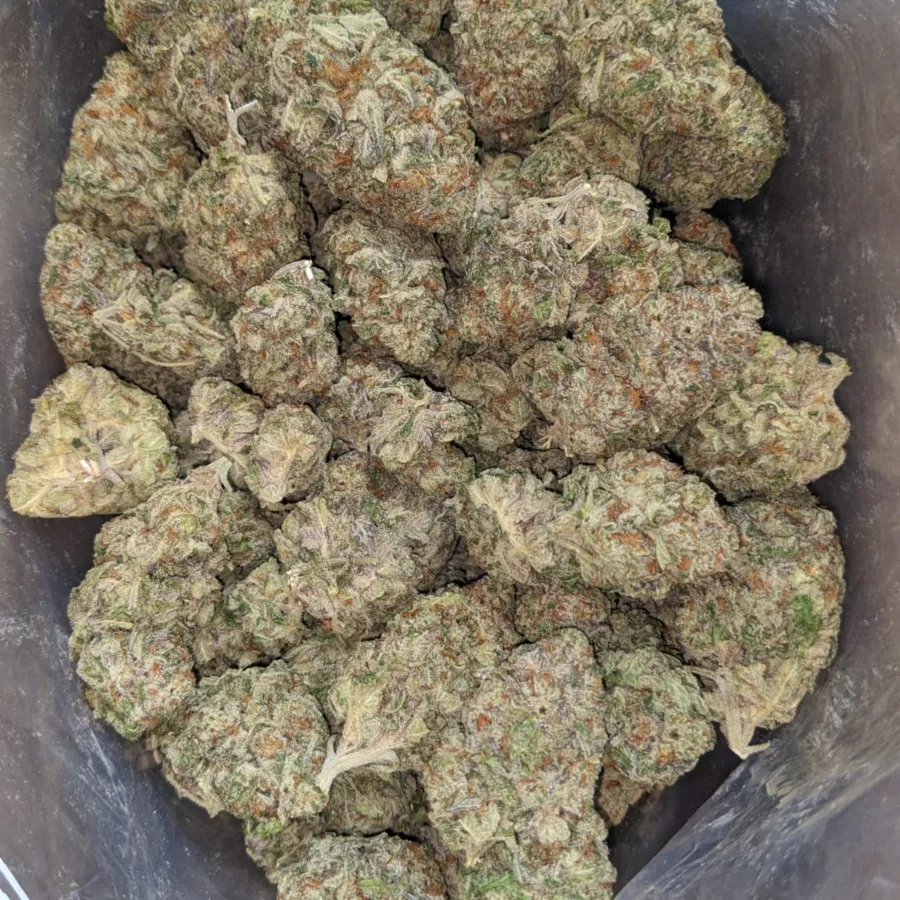 Vanilla Stink 3 I Vanilla Stink