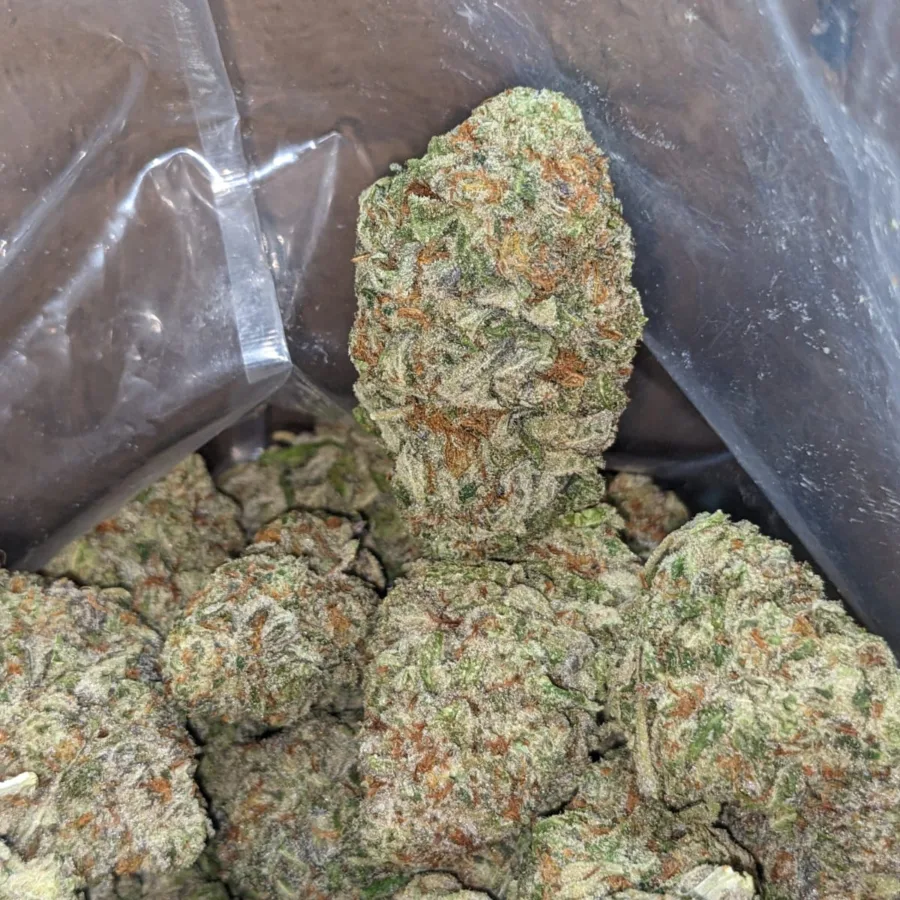 Vanilla Stink 4 I Vanilla Stink