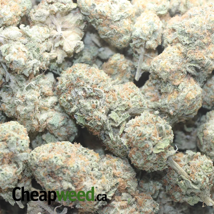 WEDDING CAKE 1 I $ 43 Oz - Wedding Cake