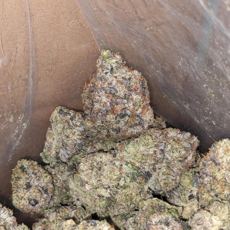 WhatsApp Image 2025 08 25 at 10.35.59 PM 1 I $ 100 Oz - Pink Gas