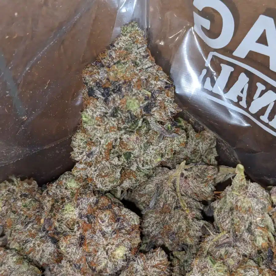 WhatsApp Image 2025 11 08 at 7.54.08 PM 1 I Black Gas Bubba