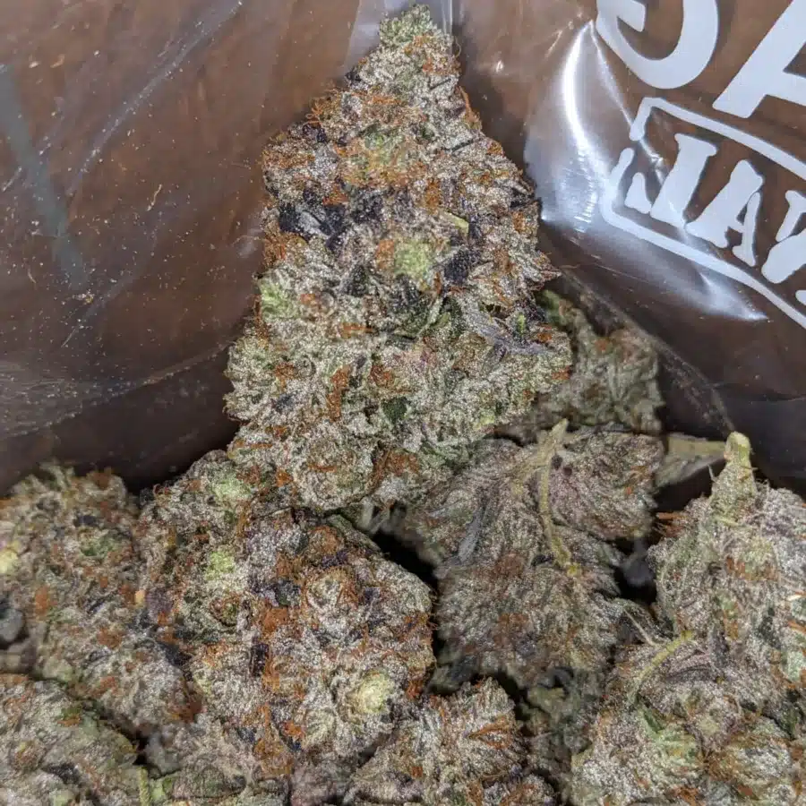 WhatsApp Image 2025 11 08 at 7.54.08 PM 2 I Black Gas Bubba