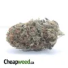 Yoda OG