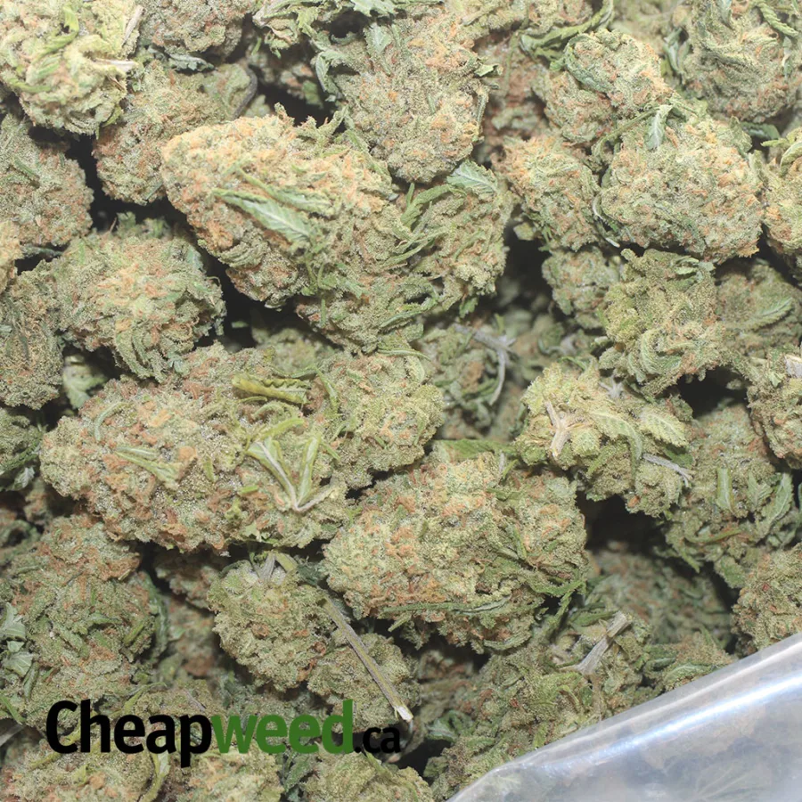45 NUKEN 1 I $45 Oz - Nuken