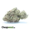 $45 Oz - Nuken