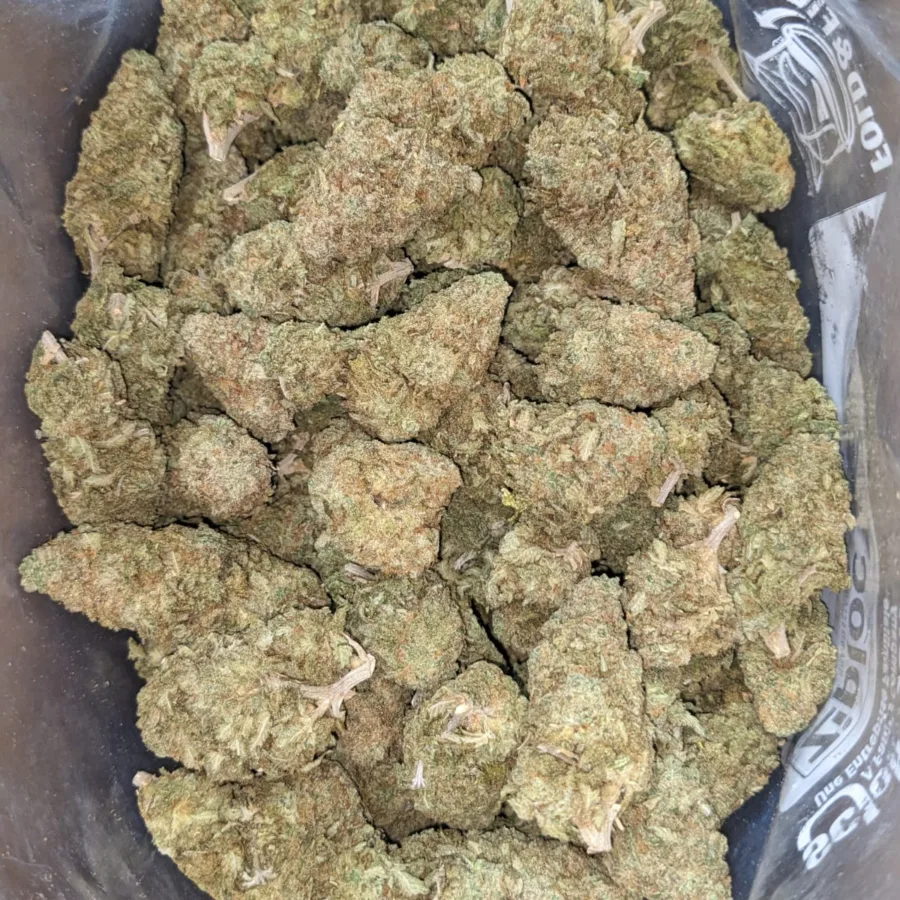 Alternative view of $47oz White Rhino
