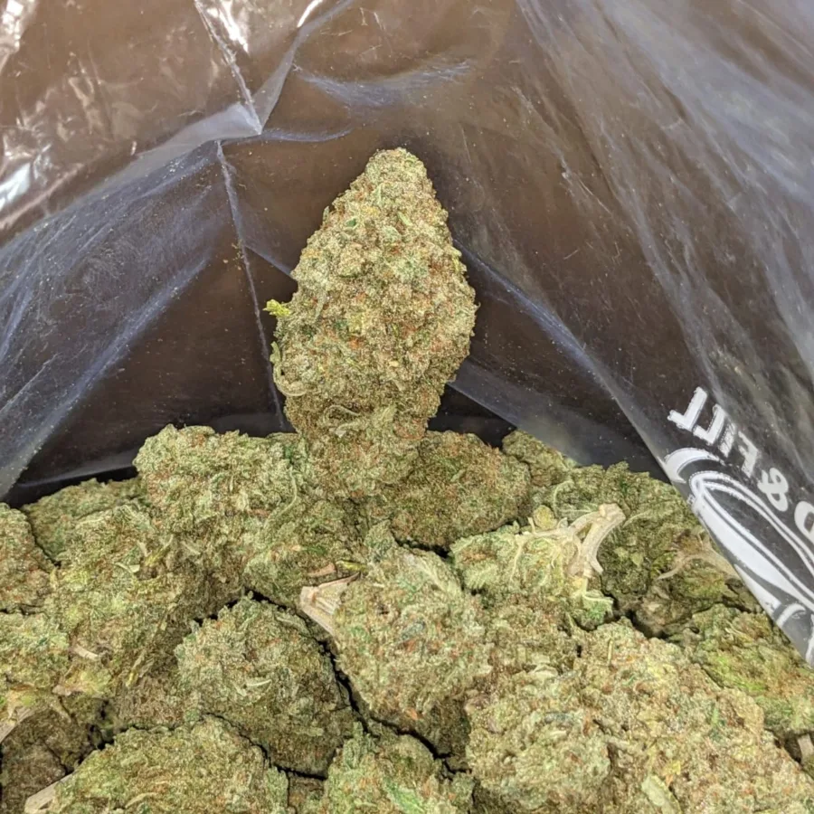 $47oz White Rhino - Image 7