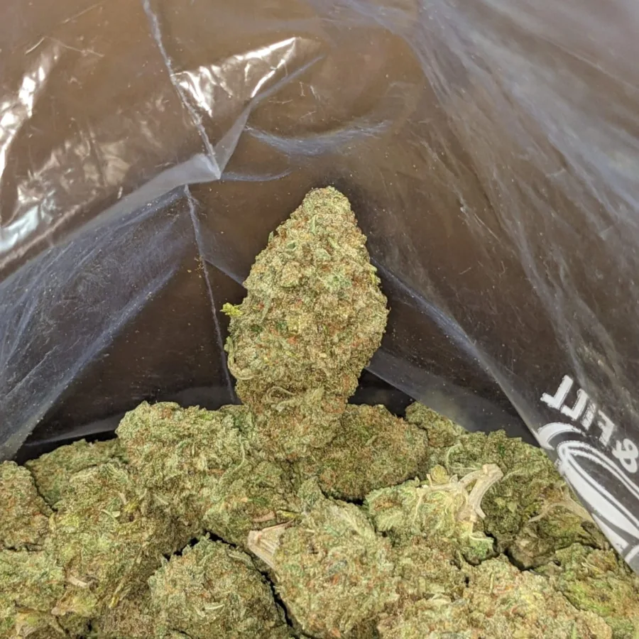 $47oz White Rhino - Image 5