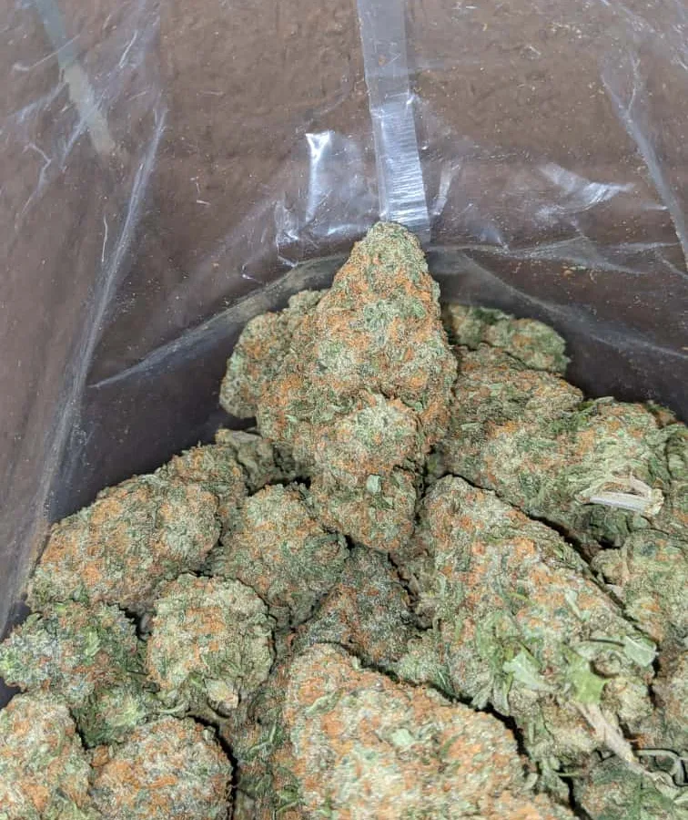 Alaskan Thunderfuck 2 1 I $ 50 Oz - Alaskan Thunderfuck