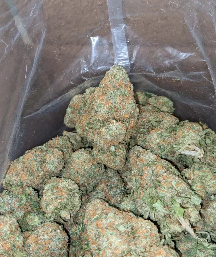 Alaskan Thunderfuck 3 1 I $ 50 Oz - Alaskan Thunderfuck