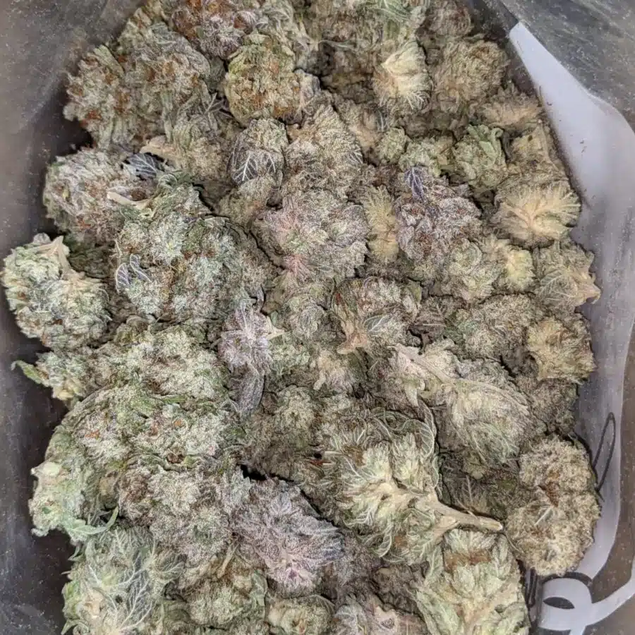 Berry widow 1 I $ 47 Oz - Widow Berry