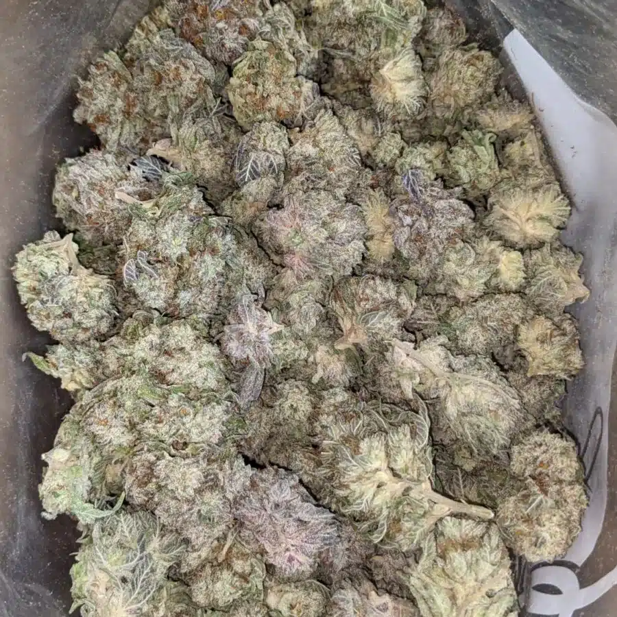 Berry widow 2 I $ 47 Oz - Widow Berry