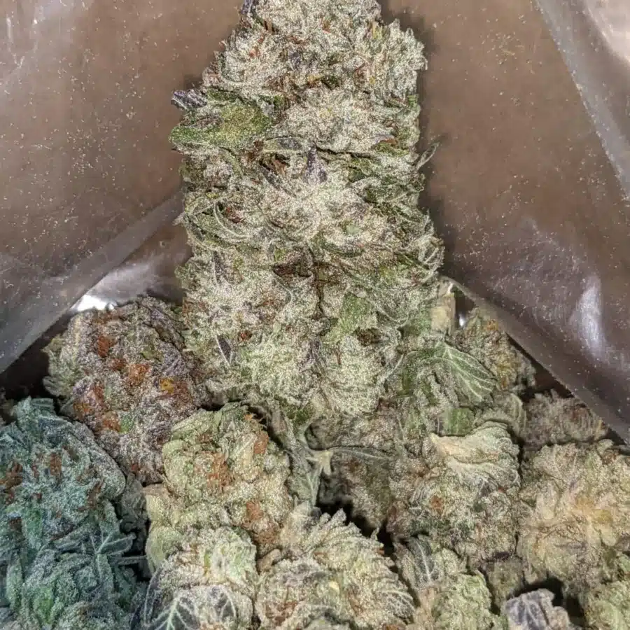 Berry widow 3 I $ 47 Oz - Widow Berry