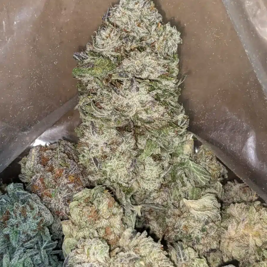 Berry widow 4 I $ 47 Oz - Widow Berry