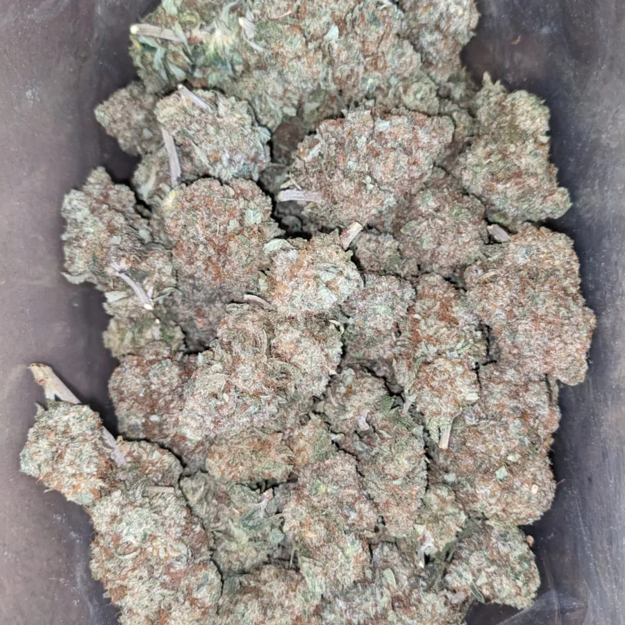 Blackwater
