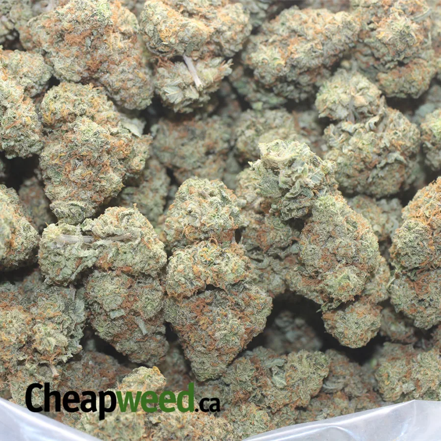 CRUNCH BERRY 1 I $ 43 Oz - Crunchberries