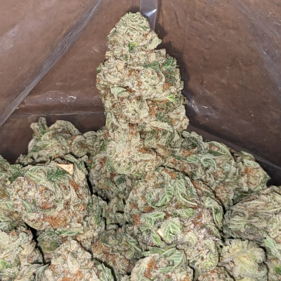 Cali Bubba - Image 3