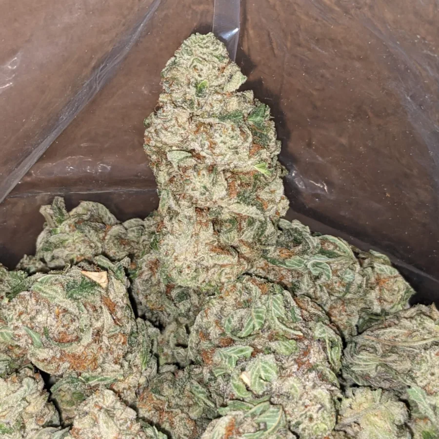 Cali Bubba - Image 5