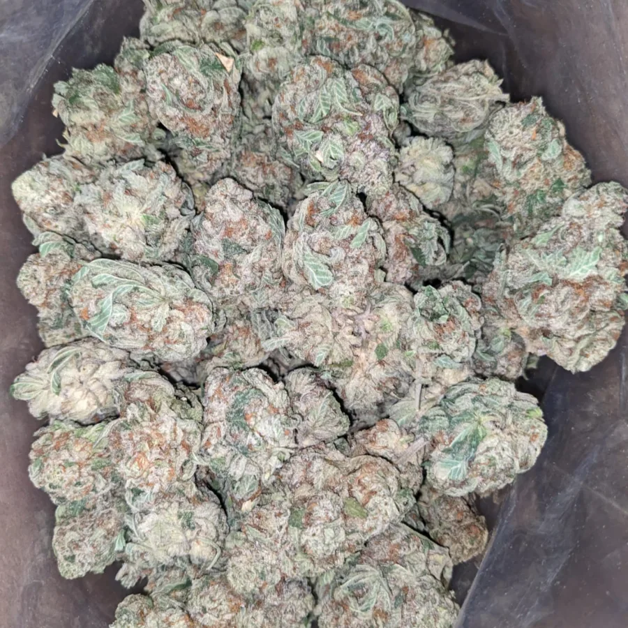 Cali Bubba