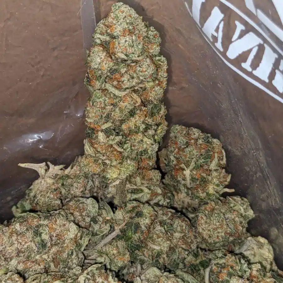 Chem 91 1 1 I $ 47 Oz - Chem 91