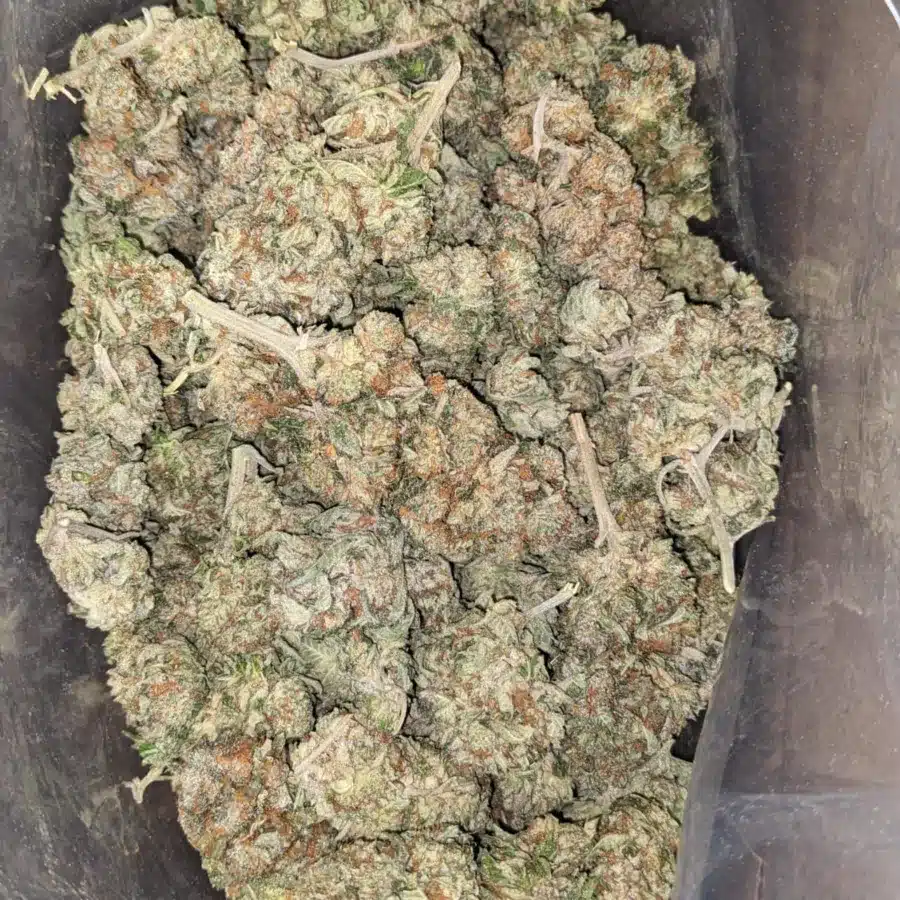 Chem 91 3 1 I $ 47 Oz - Chem 91
