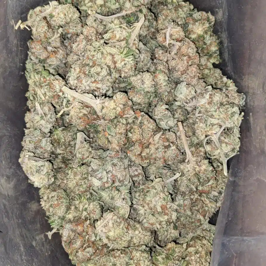 Chem 91 4 I $ 47 Oz - Chem 91