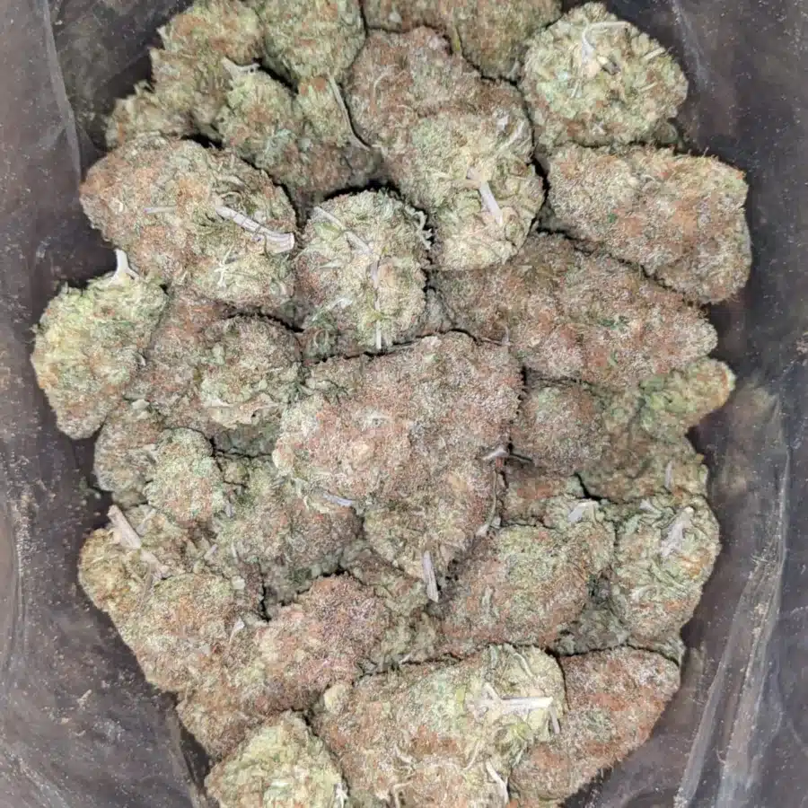Chocolate Kush 2 1 I $ 54 Oz - Chocolate Kush