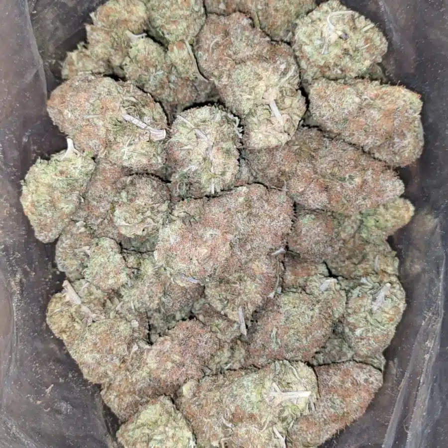 Chocolate Kush 3 1 I $ 54 Oz - Chocolate Kush