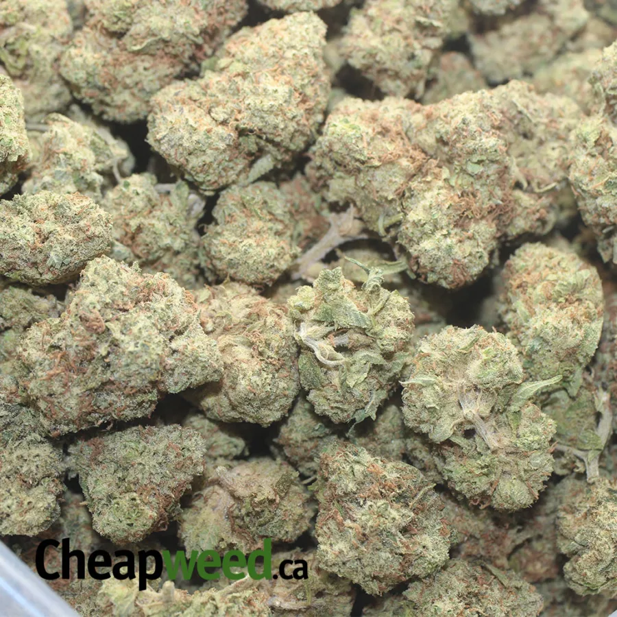 DONKEY BREATH 1 I Cookies & Cream