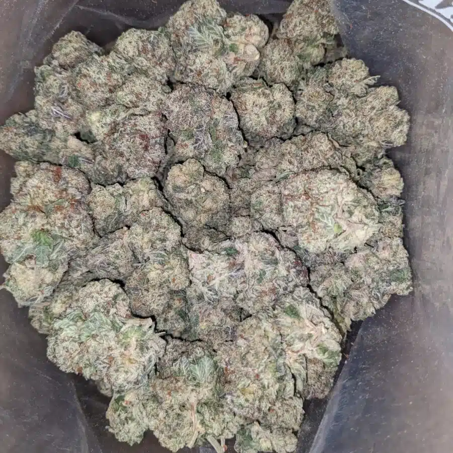 Donkey breath 1 1 I Donkey Breath