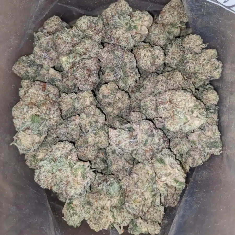 Donkey breath 2 1 I Donkey Breath
