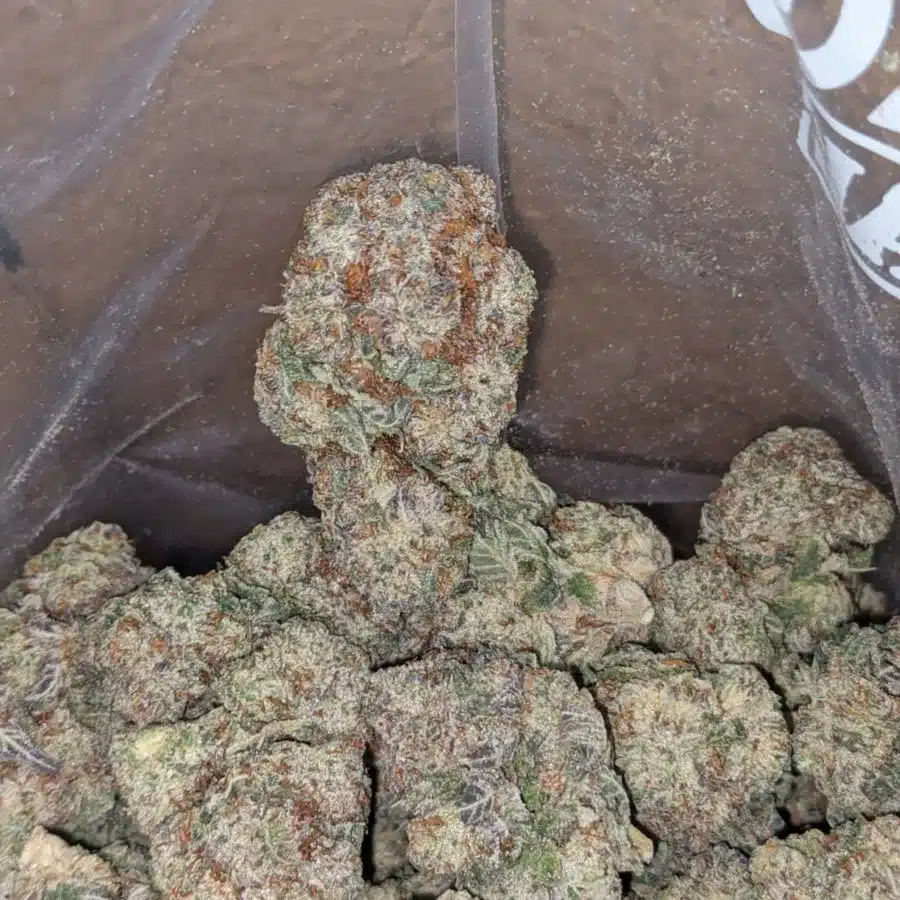 Donkey breath 3 1 I Donkey Breath