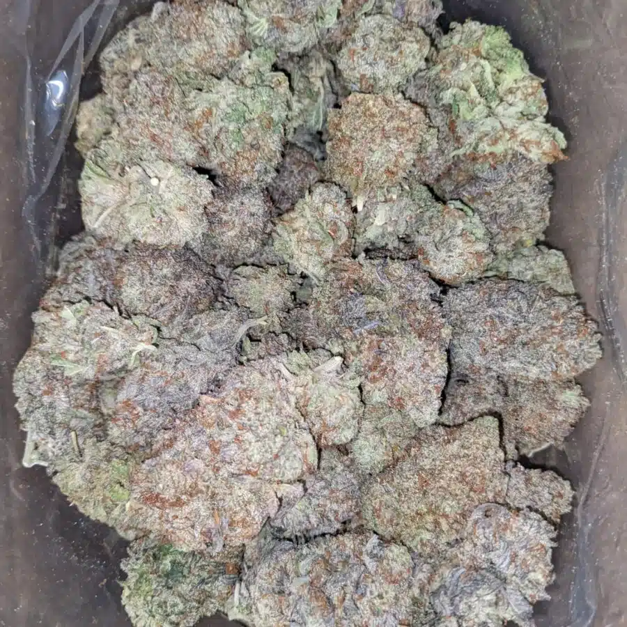 East Coast Sour Diesel 1 I East Coast Sour Diesel