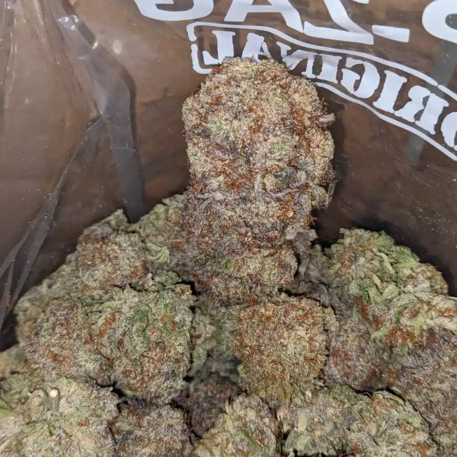 East Coast Sour Diesel 3 I East Coast Sour Diesel