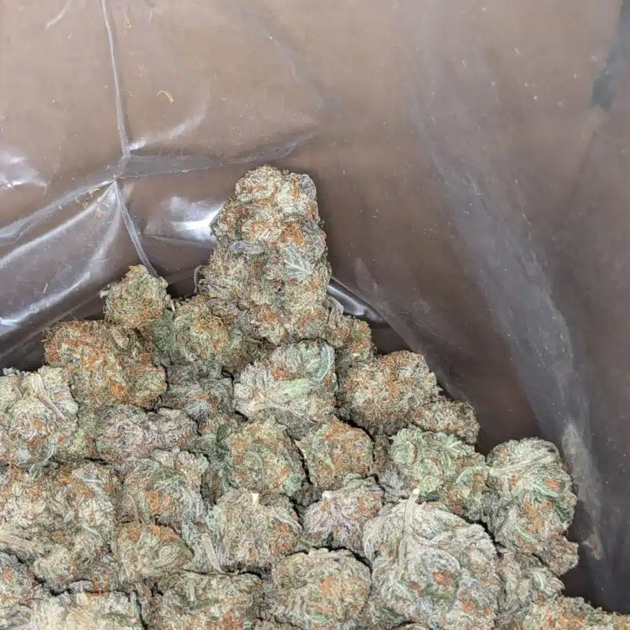 Fortune cookies 1 I $ 45 Oz - Fortune Cookies
