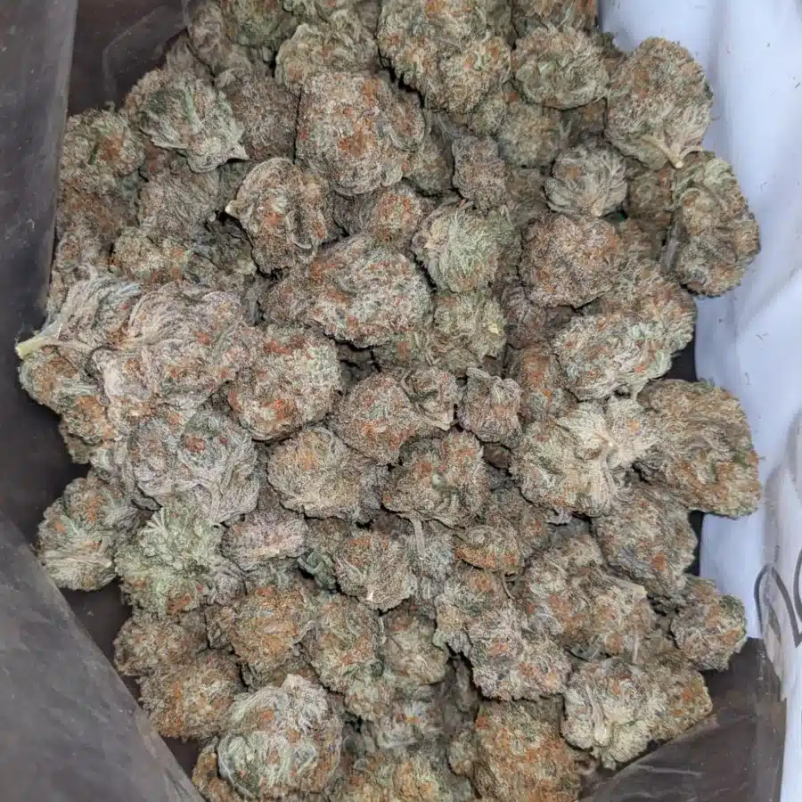 Fortune cookies 2 I $ 45 Oz - Fortune Cookies