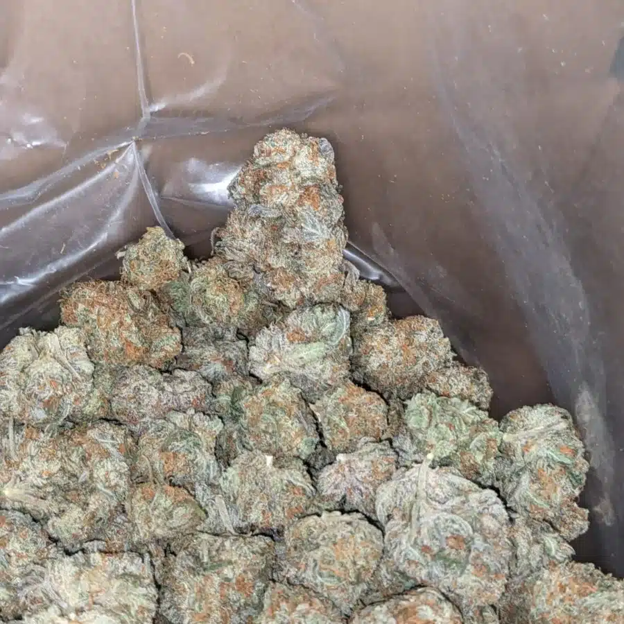 Fortune cookies 3 I $ 45 Oz - Fortune Cookies