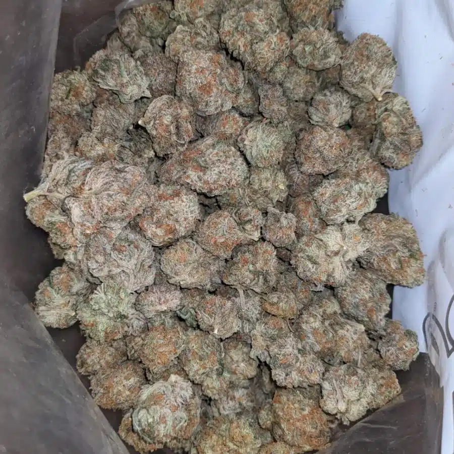 Fortune cookies 4 I $ 45 Oz - Fortune Cookies