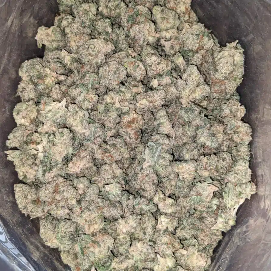 Alternative view of Frosted Cake (Smalls)