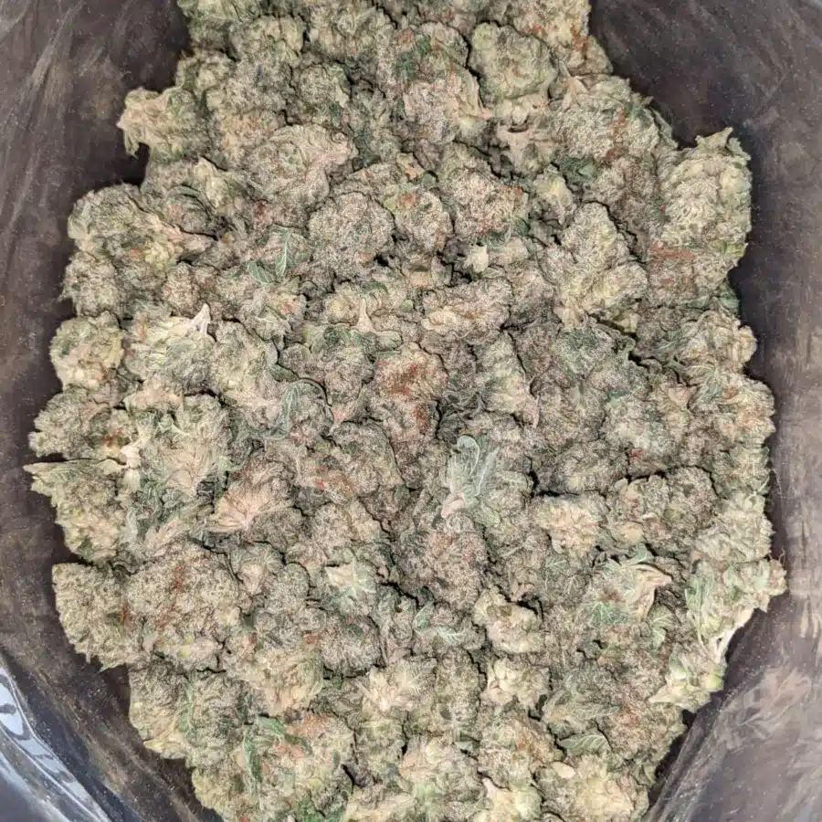 Frosted Cake (Smalls)
