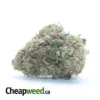 G13