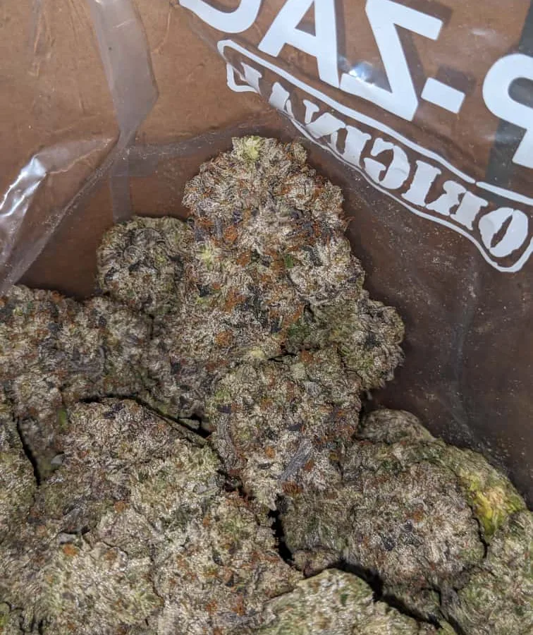 Ghost Bubba 3 I Ghost Bubba