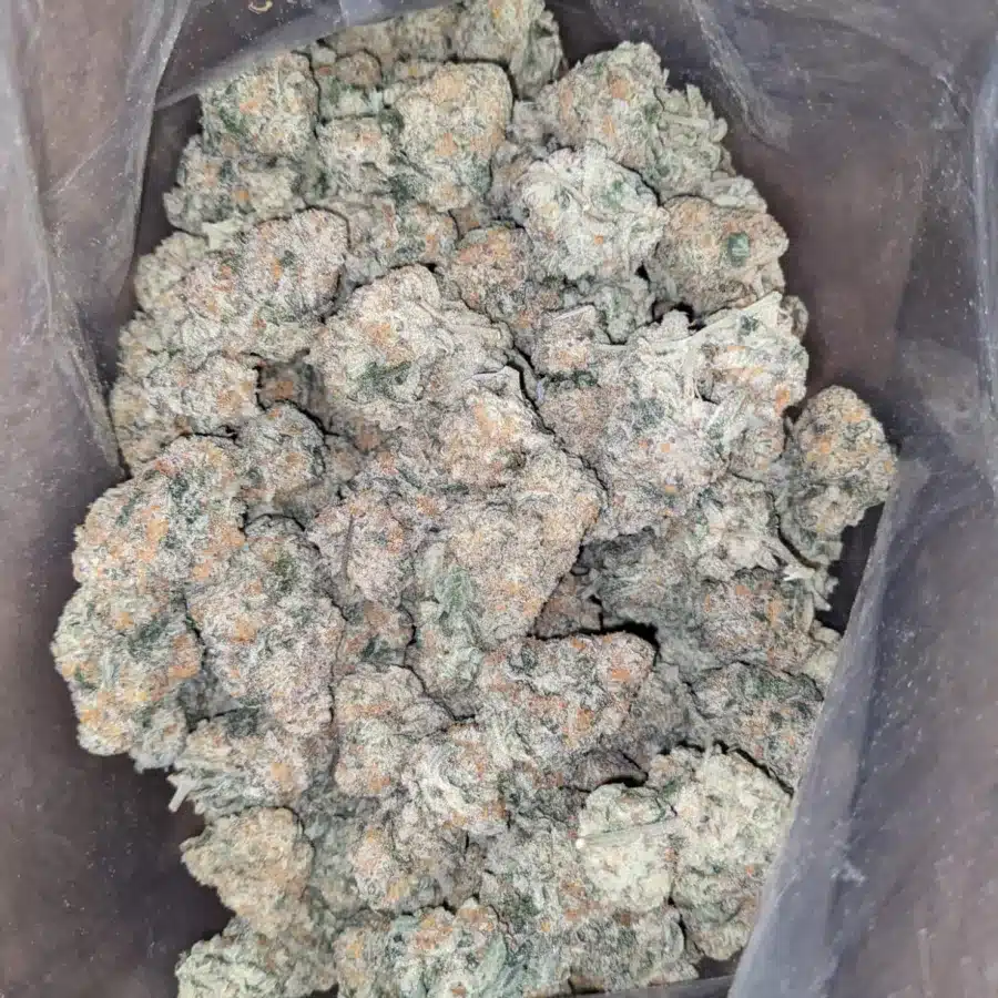 Ghost train haze 1 1 I Ghost Train Haze