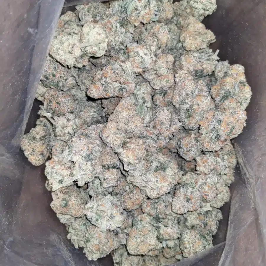 Ghost train haze 2 1 I Ghost Train Haze