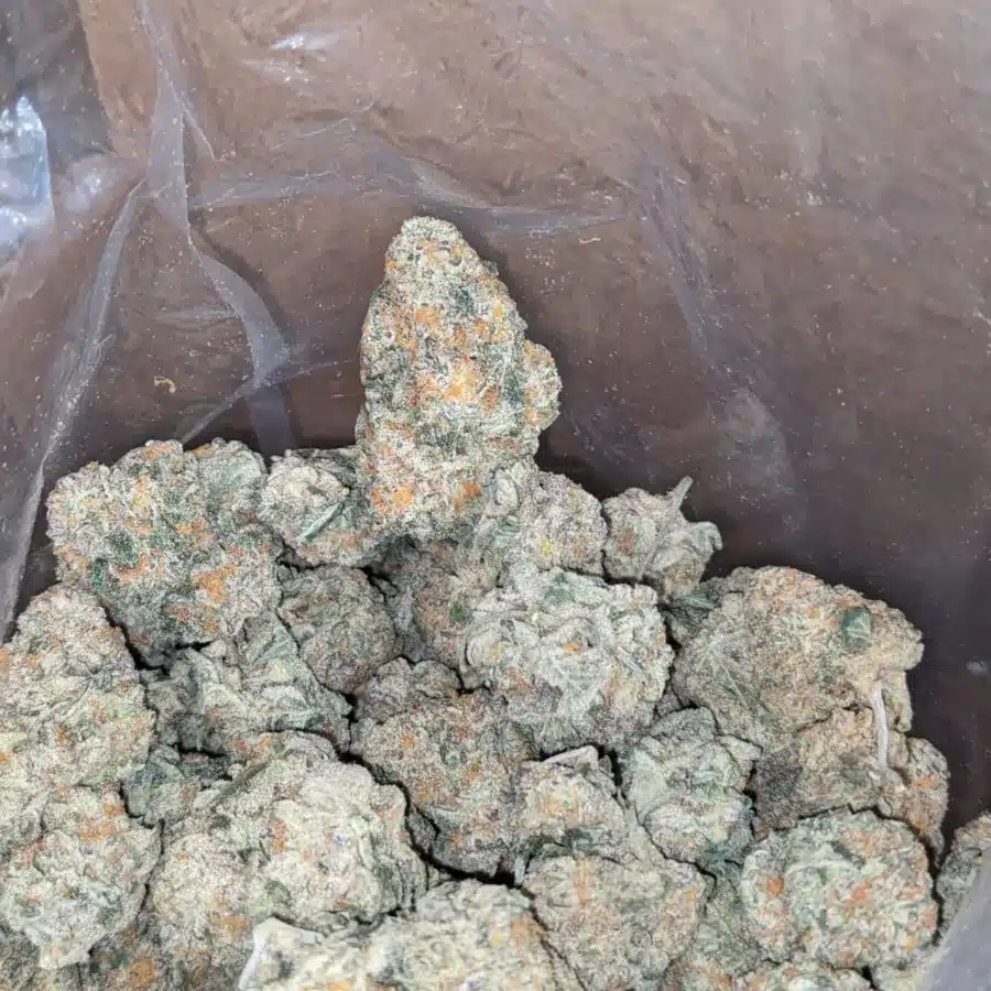 Ghost train haze 3 1 I Ghost Train Haze