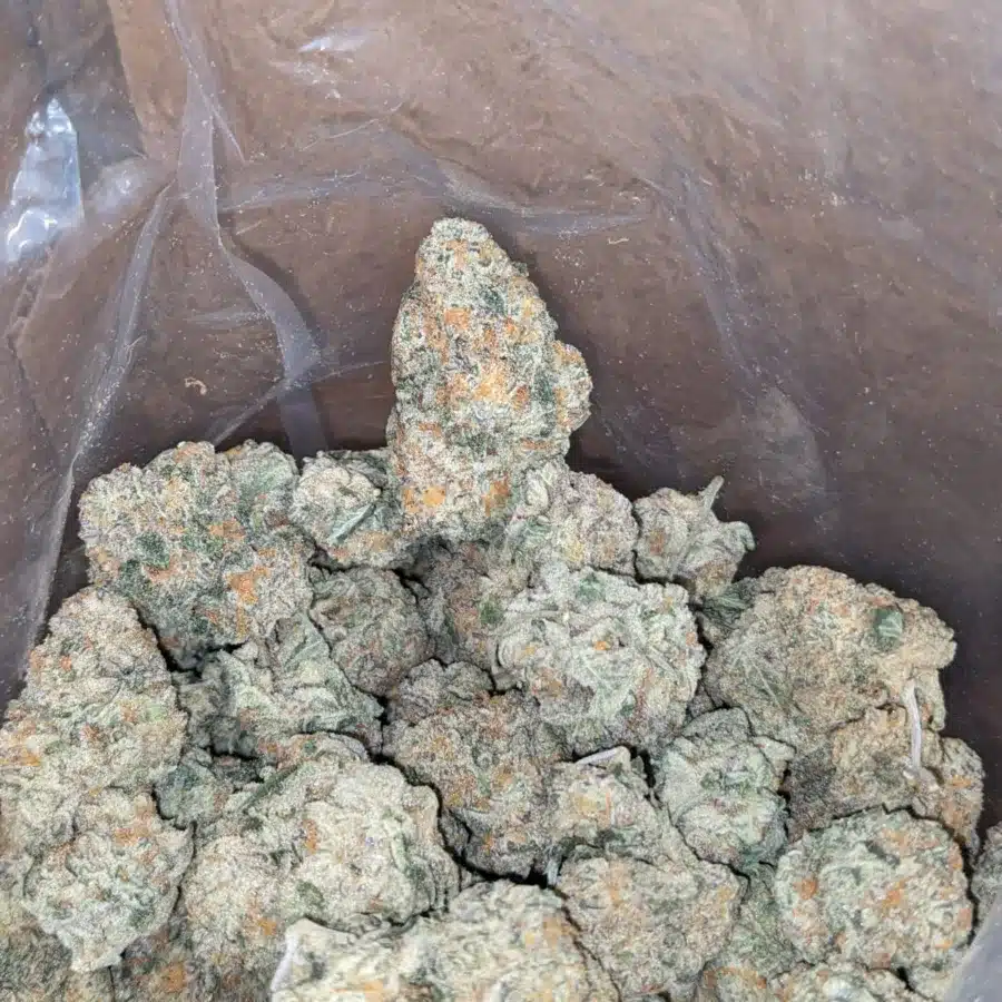 Ghost train haze 4 I Ghost Train Haze